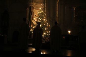 Am Ende der Christmette erklang das Lied "Stille Nacht". Dabei war der Dom allein mit dem Christbaum beleuchtet.