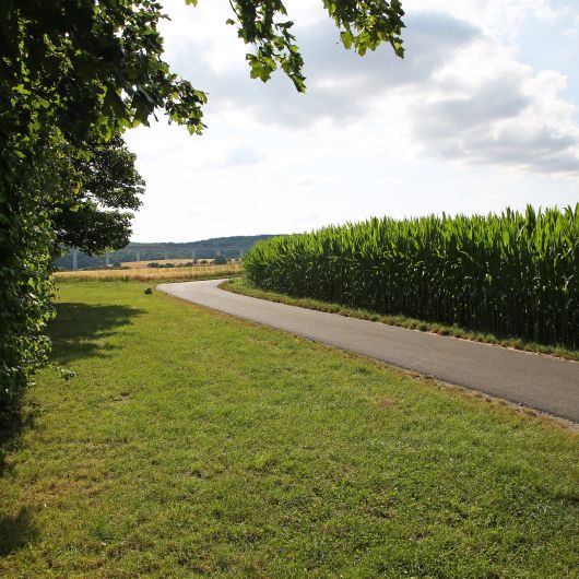 Der Theresienweg führt mitten durch Felder und Wiesen. Sonnenschutz ist empfehlenswert.