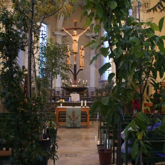 Ein Hauch von Regenwald bot sich Besuchern in der Stephanskirche.