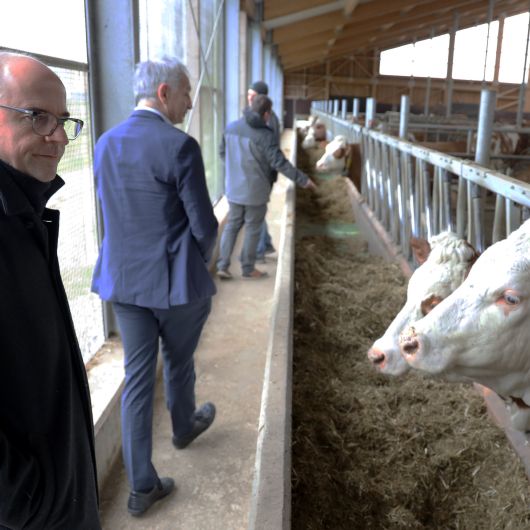 Interessierte sich für die vielen Details: Bischof Dr. Franz Jung (links) beim Besuch landwirtschaftlicher Betriebe in Stadelhofen. 