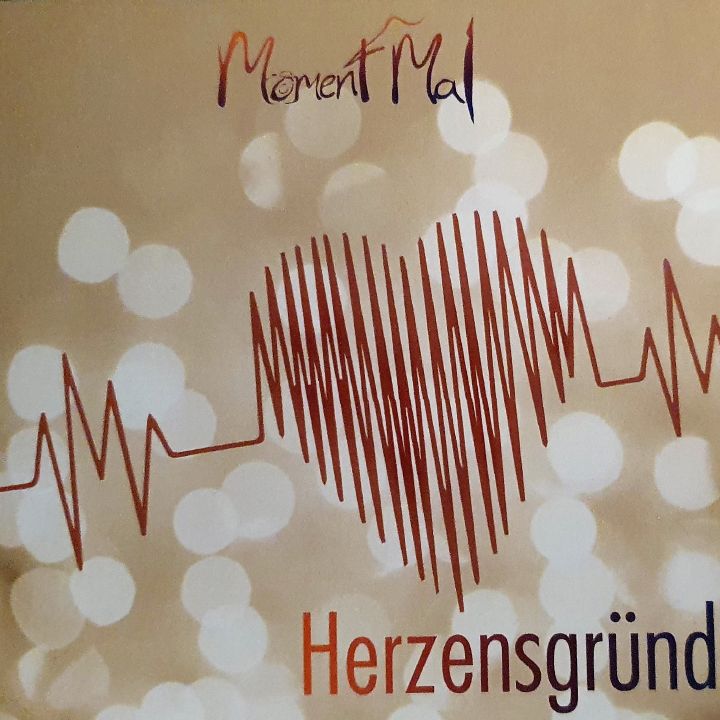 "Herzensgründe" heißt die aktuelle CD der Aschaffenburger Band "Moment Mal"
