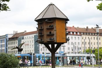Mit Hilfe von Taubenhäuser und -türmen, wie beispielsweise hier am Würzburger Busbahnhof, versucht die Stadt, die Taubenpopulation in den Griff zu bekommen.