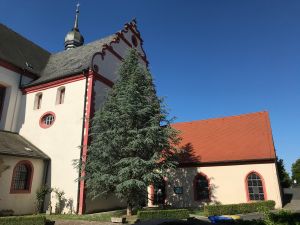 Das Kartäusermuseum in Tückelhausen bei Ochsenfurt ist ab sofort jeden zweiten Sonntag im Monat für Besucherinnen und Besucher geöffnet. Möglich macht das ein Team von Ehrenamtlichen.
