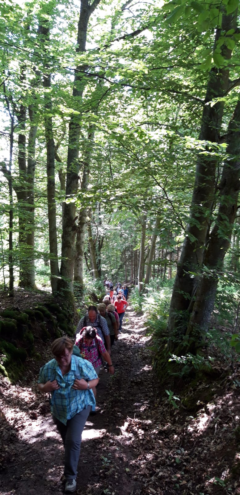 Personen wandern im Wald