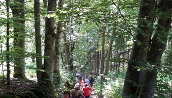 Personen wandern im Wald